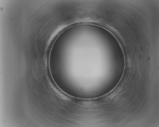 X0000069381416200605192137