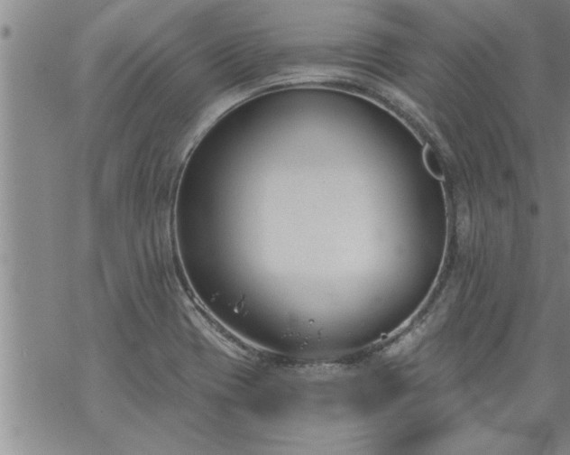 X0000069381417200605192137