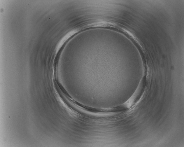 X0000069381418200605192137