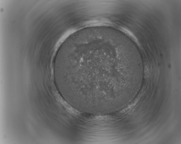 X0000069381419200605192137