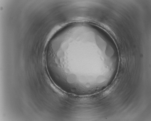 X0000069381421200605192138