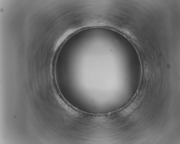 X0000069381422200605192138