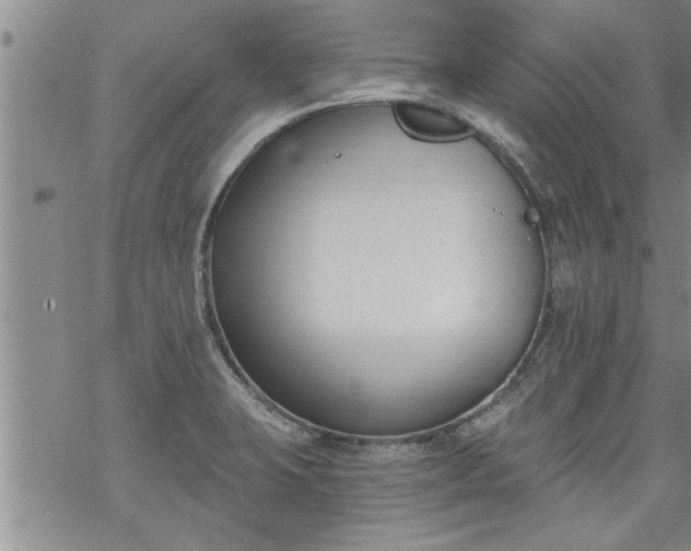 X0000069381423200605192138