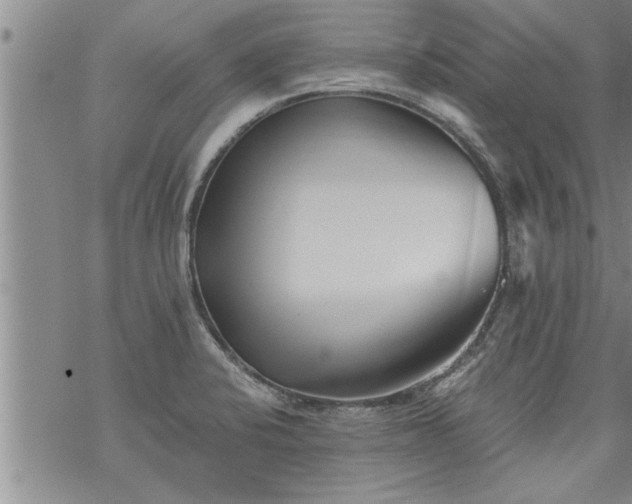 X0000069381424200605192138