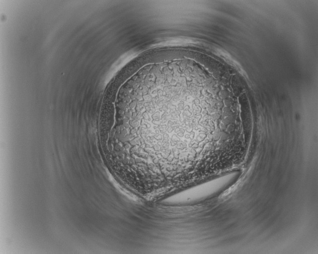 X0000069381425200605192138