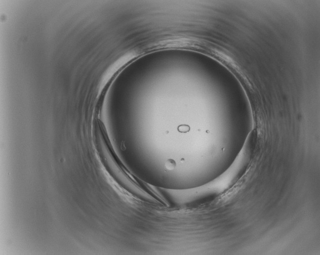 X0000069381426200605192138