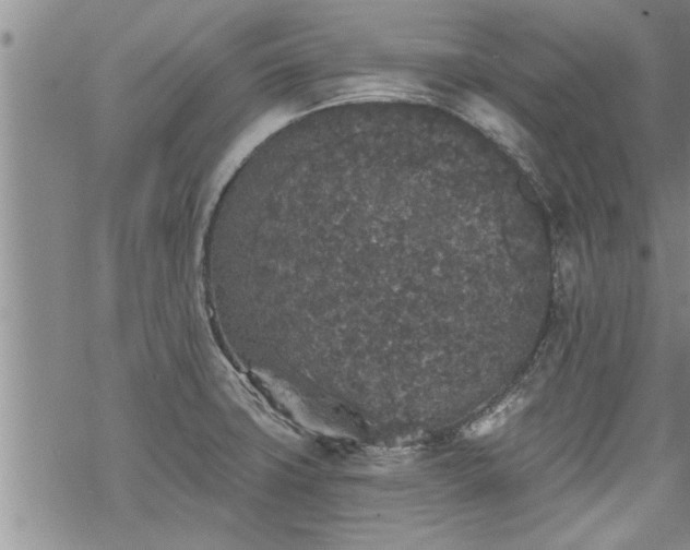 X0000069381427200605192138