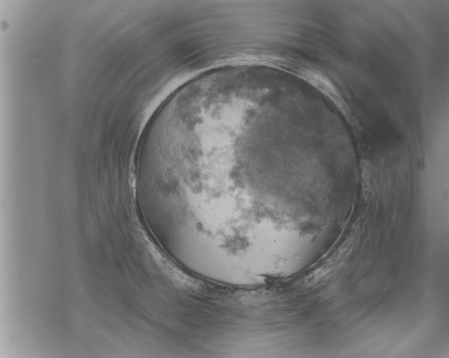 X0000069381428200605192138