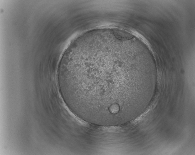 X0000069381429200605192138