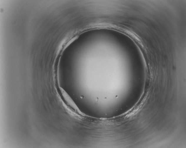 X0000069381430200605192138