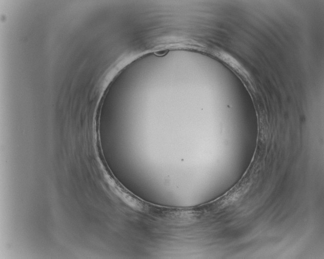 X0000069381431200605192138