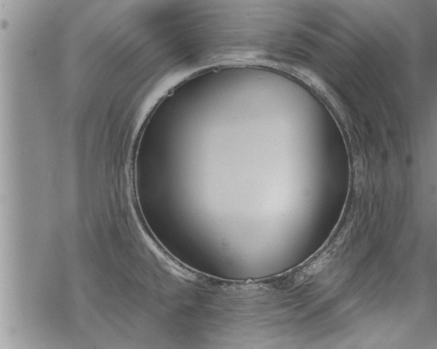 X0000069381432200605192138