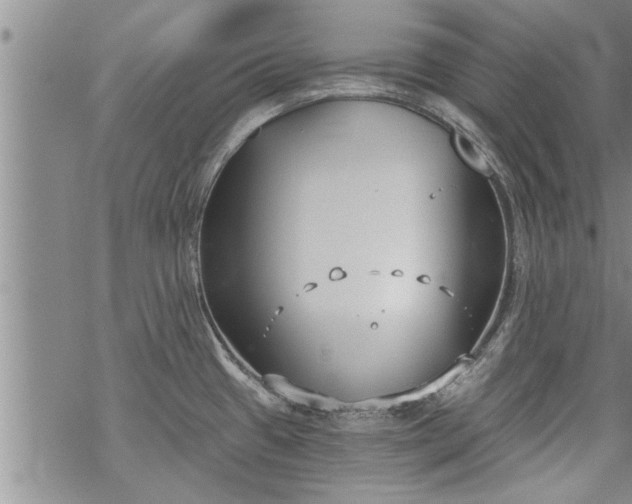 X0000069381433200605192138