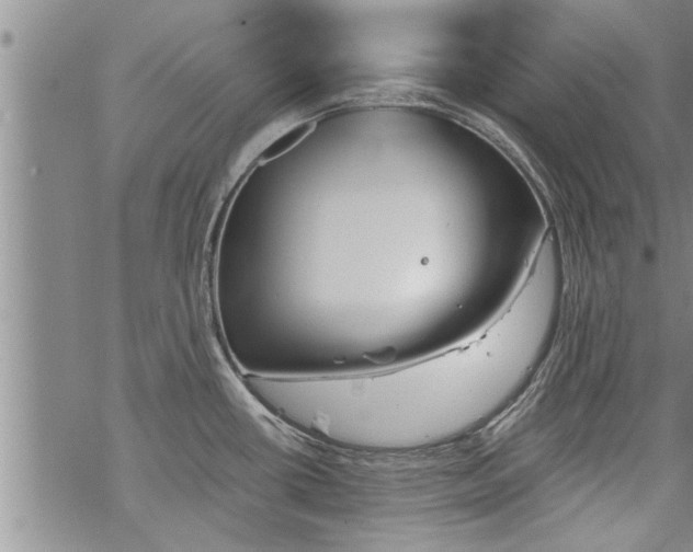 X0000069381434200605192138