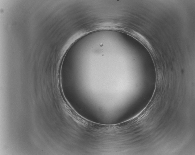 X0000069381435200605192138