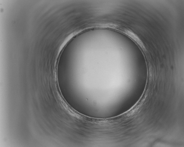 X0000069381436200605192138