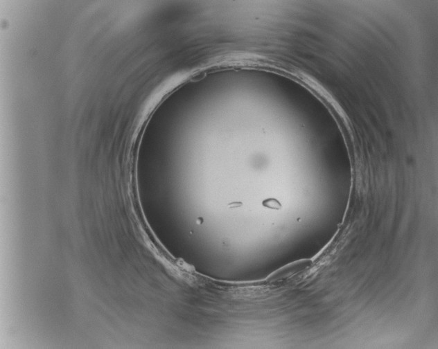 X0000069381437200605192138