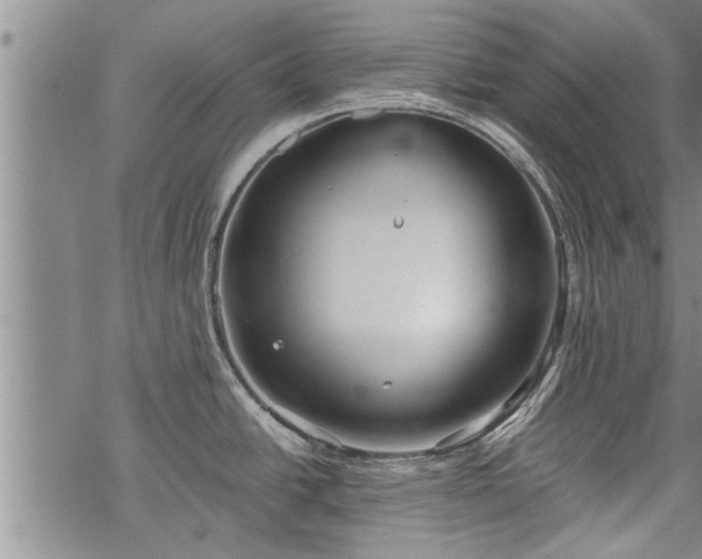 X0000069381438200605192138