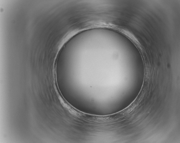 X0000069381439200605192138