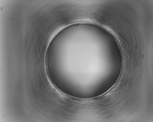 X0000069381440200605192138