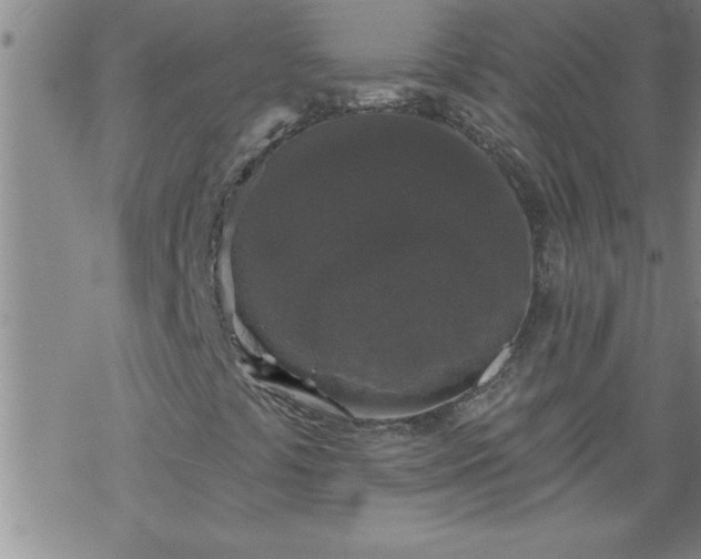 X0000069381441200605192137