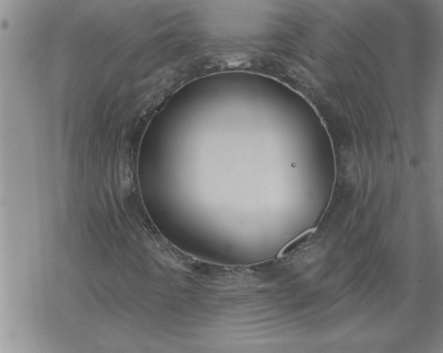 X0000069381442200605192137