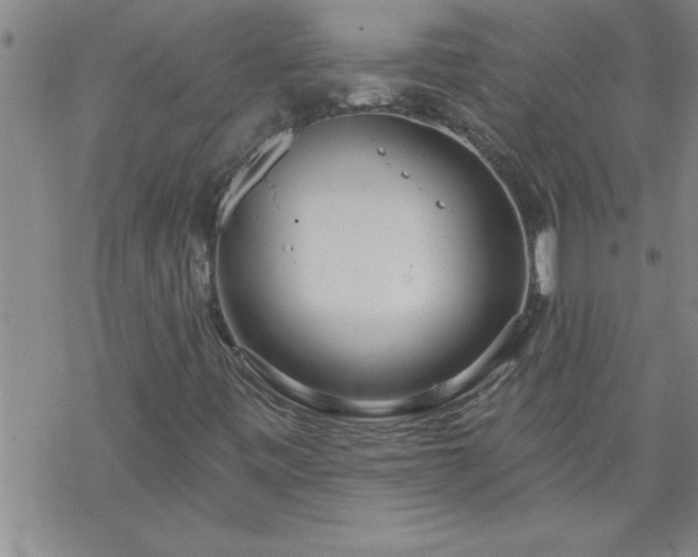 X0000069381443200605192137