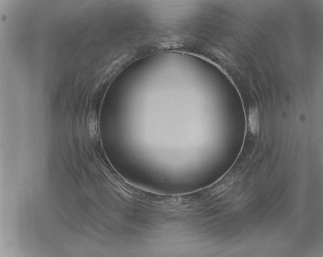 X0000069381444200605192137