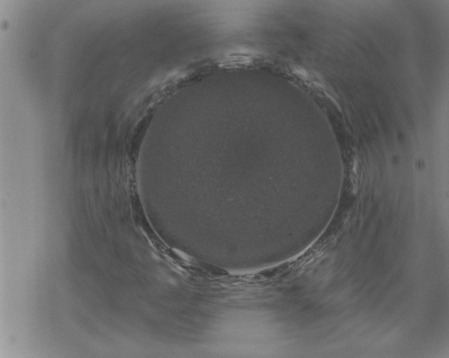 X0000069381445200605192137