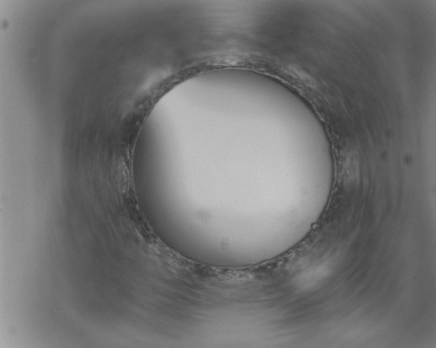 X0000069381446200605192137