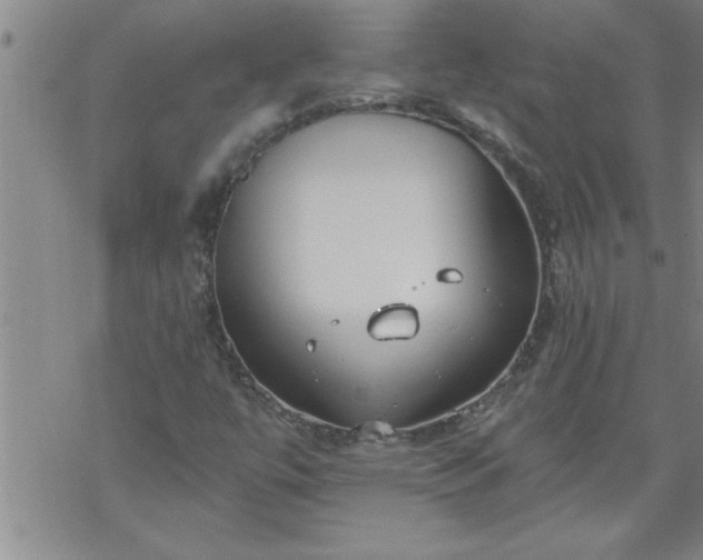 X0000069381447200605192137