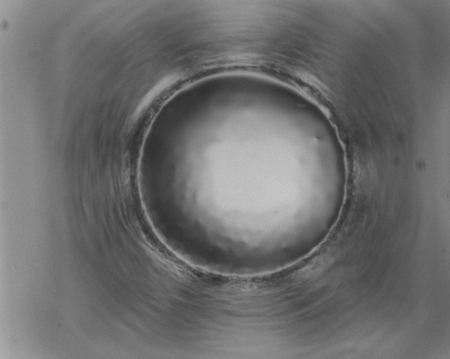 X0000069381450200605192137