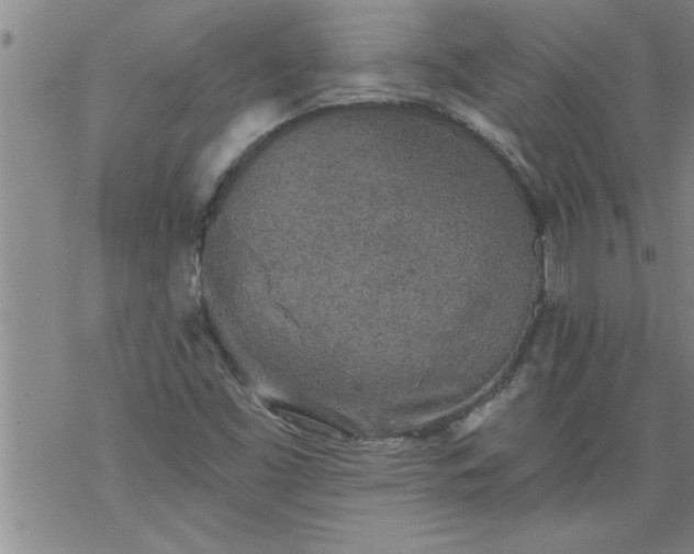 X0000069381453200605192137