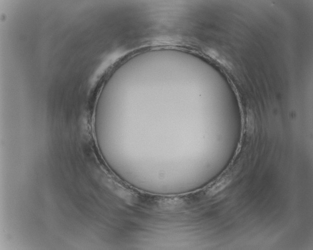 X0000069381454200605192137