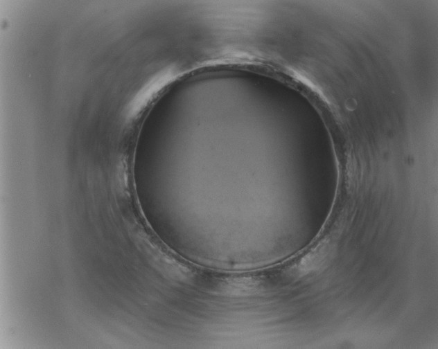 X0000069381455200605192137