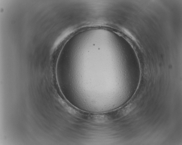 X0000069381456200605192137