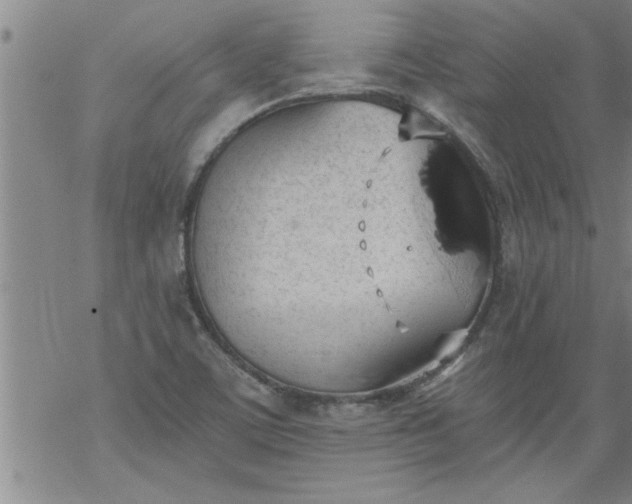 X0000069381459200605192137