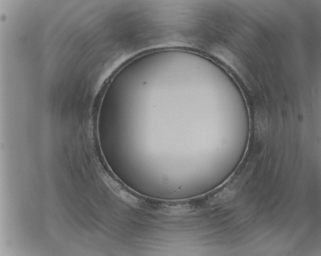 X0000069381460200605192137