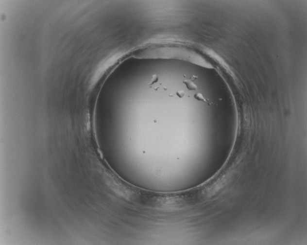 X0000069381461200605192137