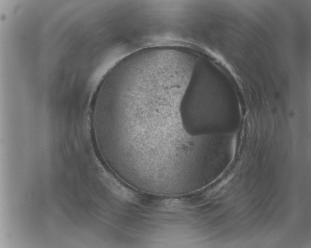 X0000069381463200605192137