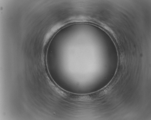 X0000069381464200605192137