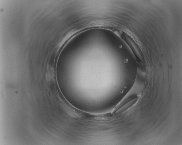 X0000069381465200605192137