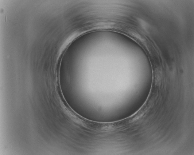 X0000069381467200605192137