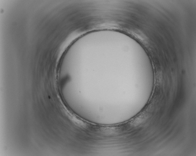 X0000069381470200605192136