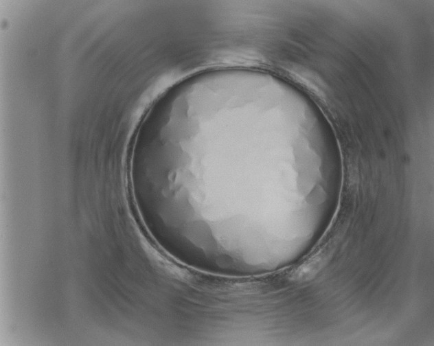 X0000069381471200605192136