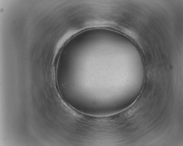 X0000069381472200605192136