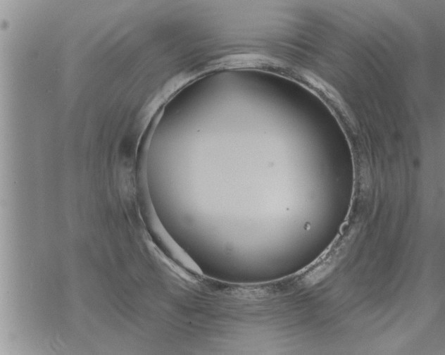 X0000069381473200605192136