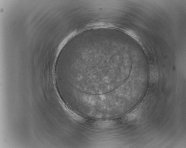 X0000069381474200605192136