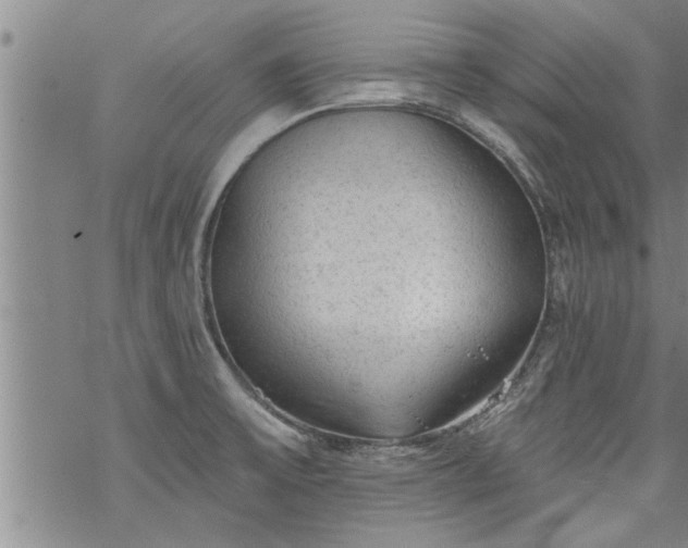 X0000069381475200605192136