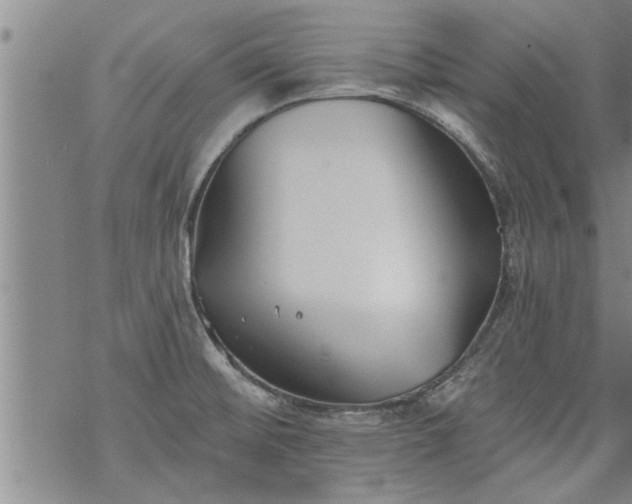 X0000069381476200605192136